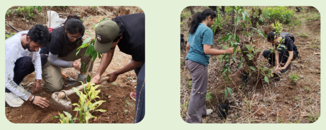 Nagahthali-Forengers-Plantation-Activity-Jun-2026