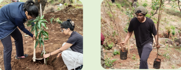 Nagahthali-Forengers-TAST-Plantation-Activity-Jun-2026